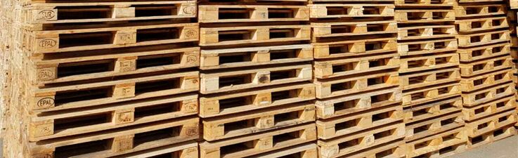 Pallet dal patrono Turkuaz